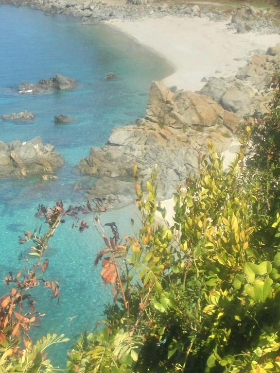 Hotel Residence Riviera Calabra ザンブローネ エクステリア 写真